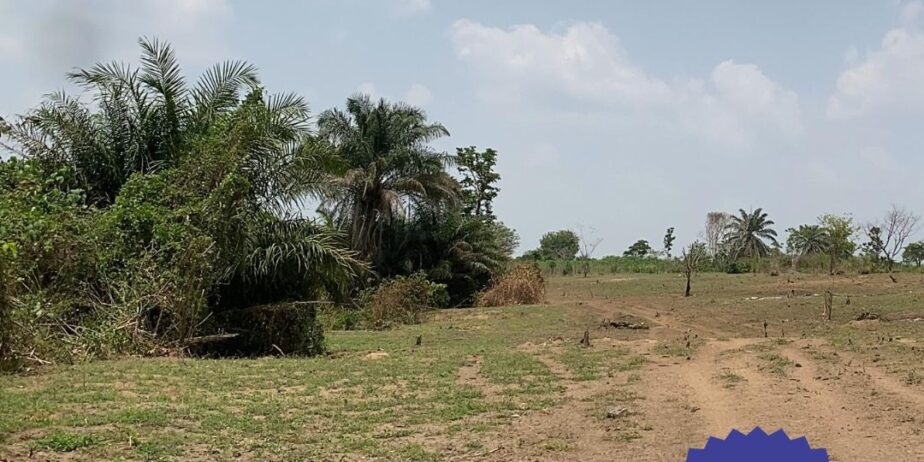 5 Acres of Dry Land, Ibadan